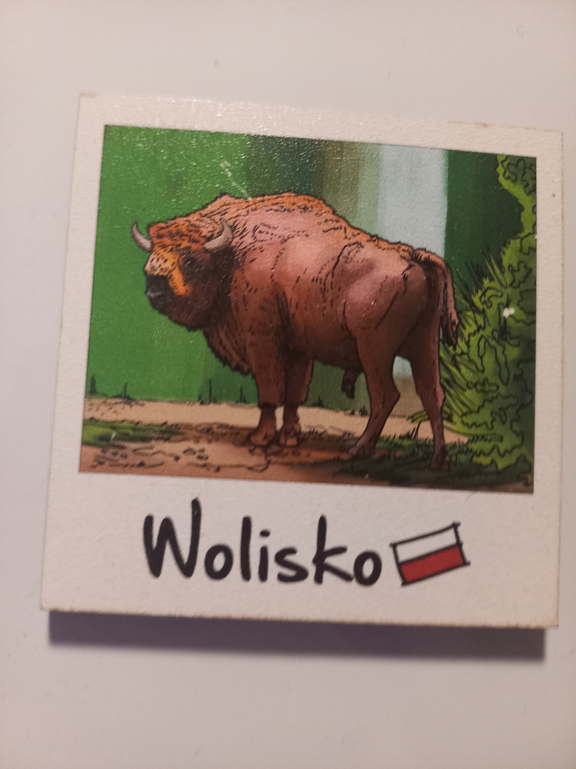 Gdzie do kurwy nędzy jest Wolisko ?????