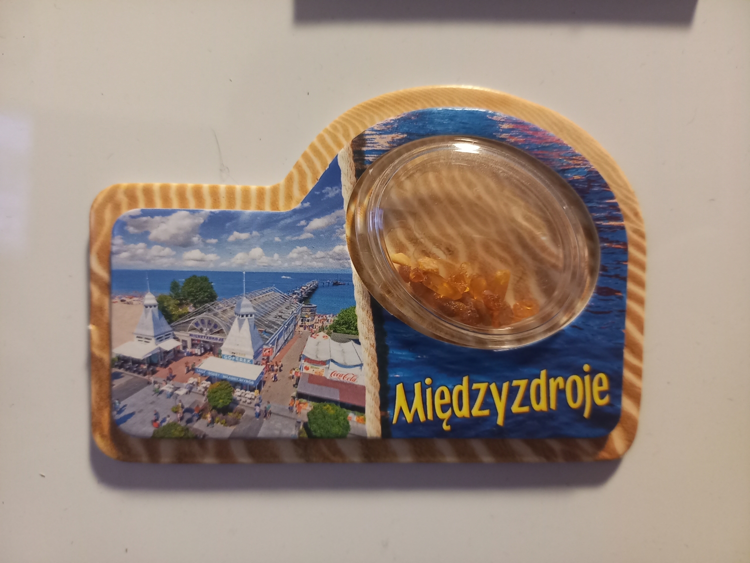 Magnes z Norwegii przywieziony nie wiadomo dlaczego ze Spitsbergenu, na którym nie ma Łosi