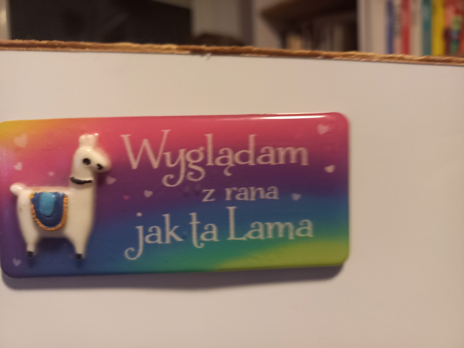 Magnes tym bardziej epicki, że nabyty dla mnie i wręczony mi na peronie dworca w Gdyni na kacu o biblijnych wręcz proporcjach.